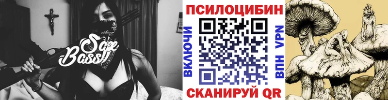 Галлюциногенные грибы Psilocybine cubensis  Печоры 